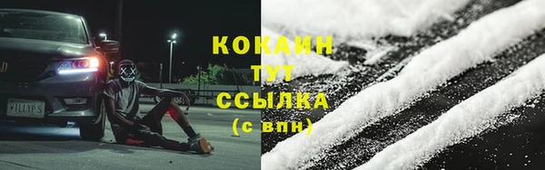 шишки Беломорск