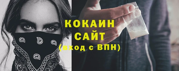 шишки Беломорск
