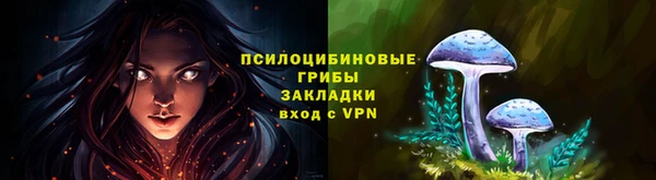 шишки Беломорск