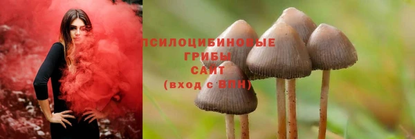 MESCALINE Ельня