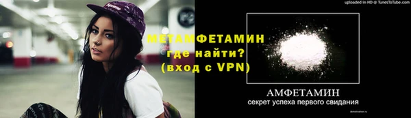 шишки Беломорск
