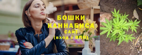шишки Беломорск