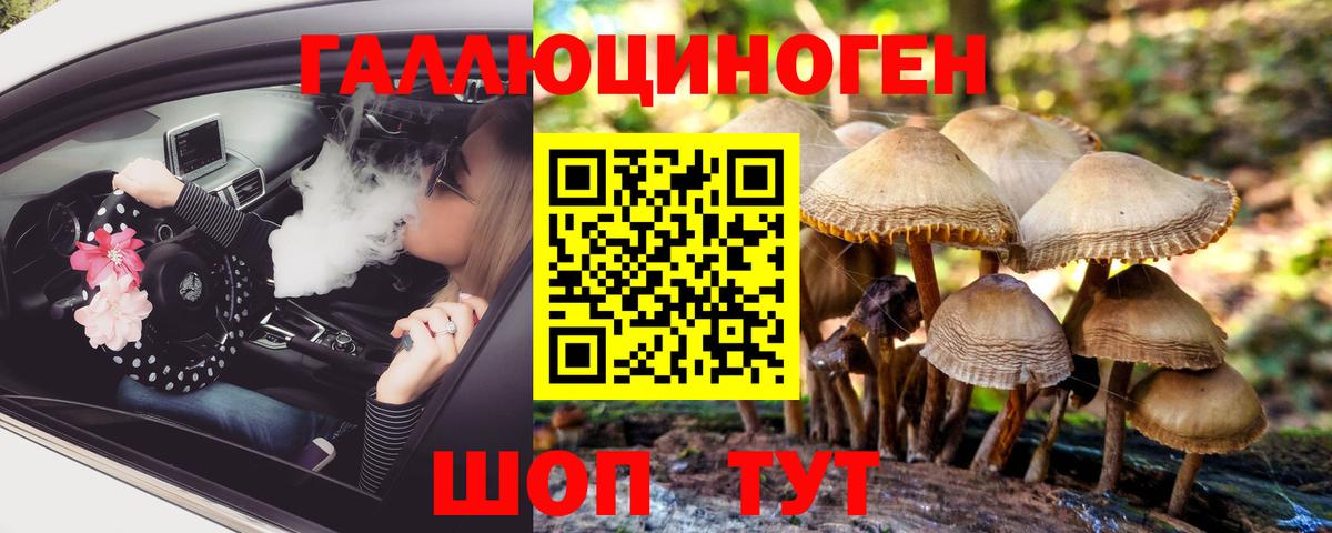 Галлюциногенные грибы Psilocybine cubensis  Вход с VPN  Бутурлиновка 